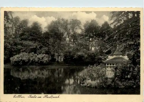 Cottbus, Partie im Stadtpark -396646