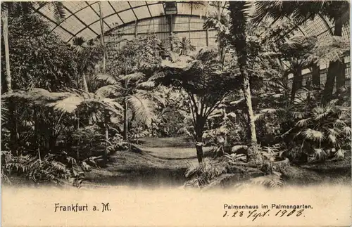 Frankfurt, Palmenhaus im Palmengarten -504212