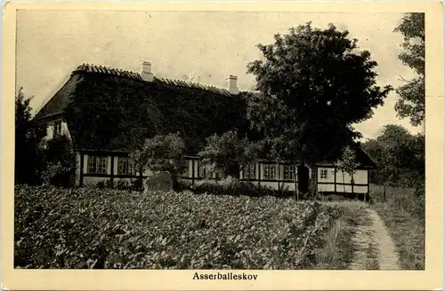 Asserballeskov - Denmark -632262