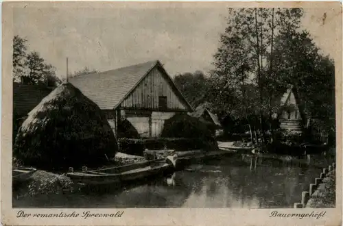 Spreewald, Bauerngehöft -397086