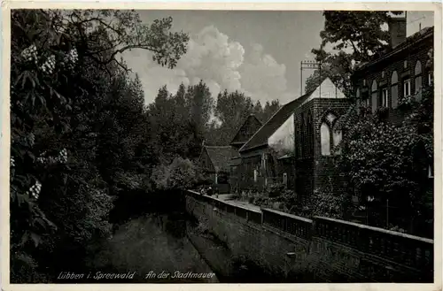 Spreewald, Lübben, An der Stadtmauer -397486