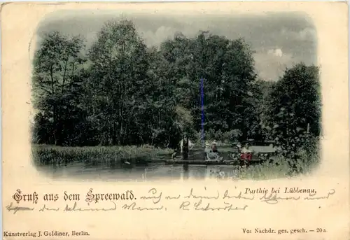 Spreewald, Grüsse, Partie bei Lübbenau -397546
