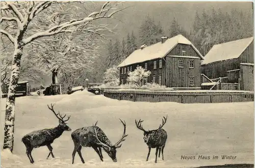 Tabarz - Neues Haus im Winter -631282