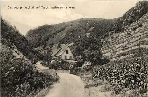 Trechtingshausen, das Morgenbachtal -505812