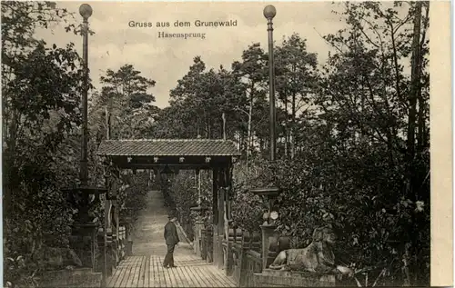 Gruss aus dem Grunewald - Hasensprung -634068