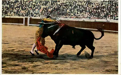 Corrida de Toros - Stierkampf -634278
