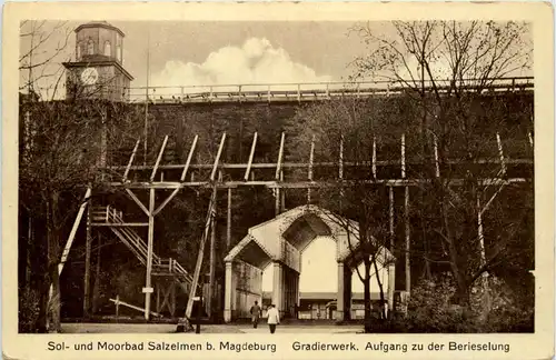 Salzelmen bei Magdeburg - Gradierwerk -633864