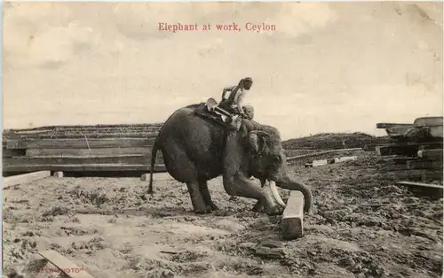 Ceylon - Elephant at work -634498