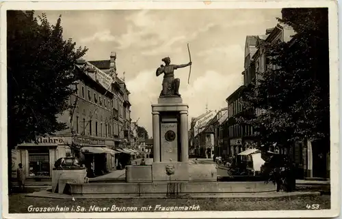 Grossenhain - Neuer Brunnen mit Frauenmarkt -631874