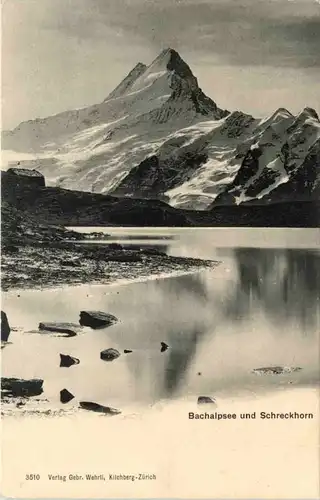 Bachalpsee und Schreckhorn -633180