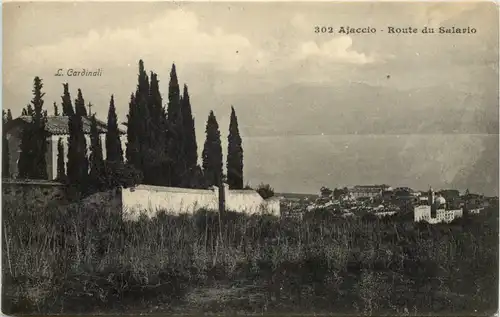 Ajaccio - Route du Salario -633782