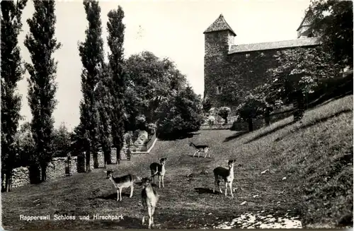 Rapperswil, Schloss und Hirschpark -506752