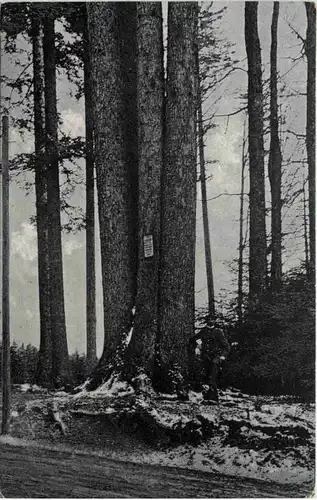 Gruss aus dem Schwarzwald, die 4 Holländer bei Kälberbronn -521790