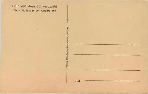 Gruss aus dem Schwarzwald, die 4 Holländer bei Kälberbronn -521790