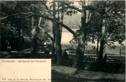 Grunewald - Waldpartie bei Paulsborn -634122