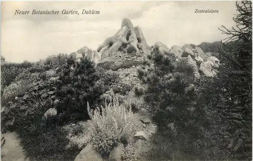 Dahlem - Neuer Botanischer Garten -634202