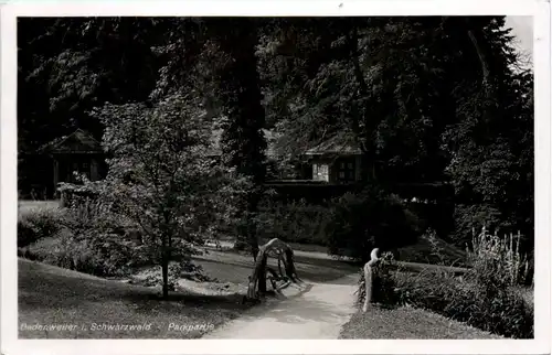 Badenweiler, Parkpartie -521950