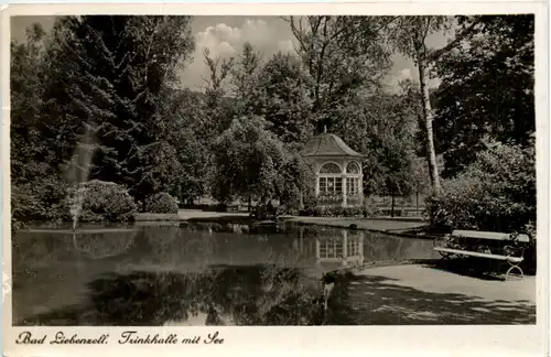 Bad Liebenzell, Trinkhalle mit See -522030