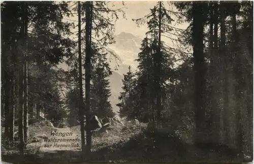 Wengen, Waldpromenade zur Hunnenfluh -507232