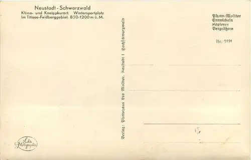 Neustadt mit Hochfirst und Feldberg - Schwarzwald -522120