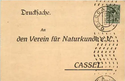 Druchsache Verein für Naturkunde Cassel - Russland -634742