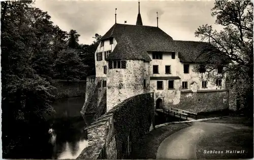 Schloss Hallwil -507872