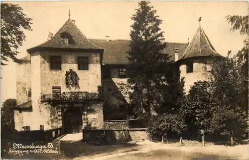 Meersburg, Eingang zum alten Schloss -521392