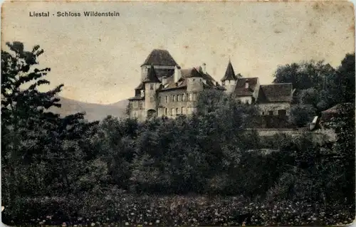 Liestal, Schloss Wildenstein -508272