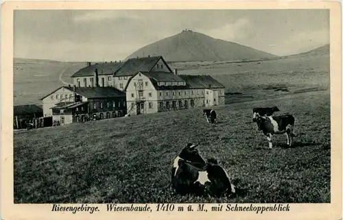 Riesengebirge - Wiesenbaude -633876