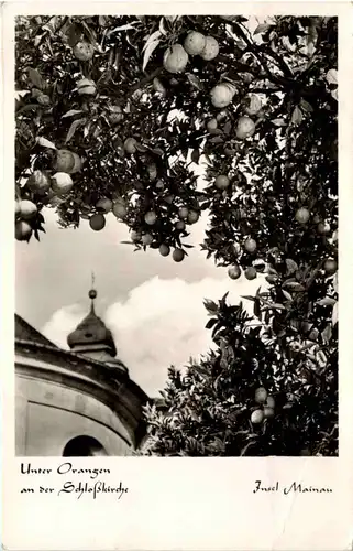 Insel Mainau, Unter Orangen an der Schlosskirche -521598