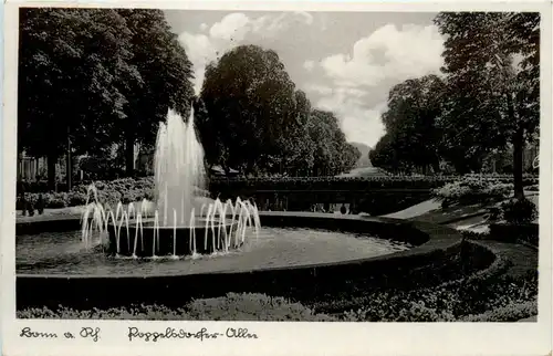 Bonn am Rhein -496966