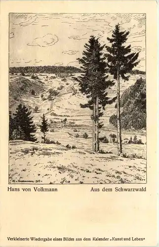 Aus dem Schwarzwald - Hans von Volkmann -523344