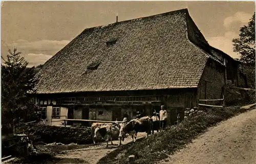 Schwarzwald, Bauernhof bei Furtwangen -523614