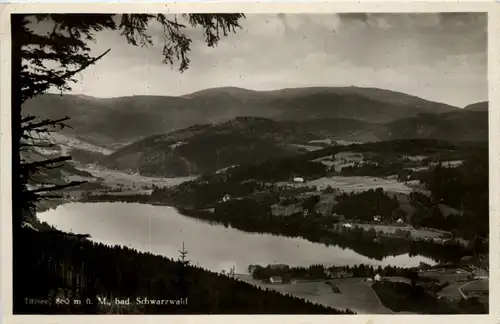 Titisee, -522058