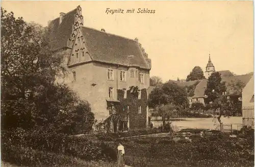 Heynitz mit Schloss -523874