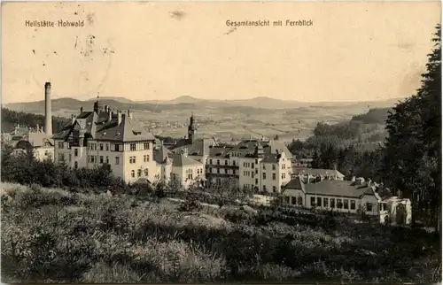 Heilstätte Hohwald, Neustadt i. Sa., Gesamtansicht mit Fernblick -523700