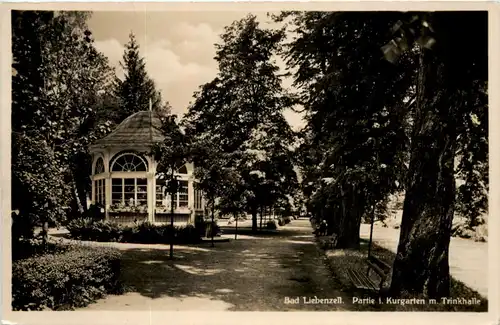 Bad Liebenzell, Partie i. Kurgarten m. Trinkhalle -522028