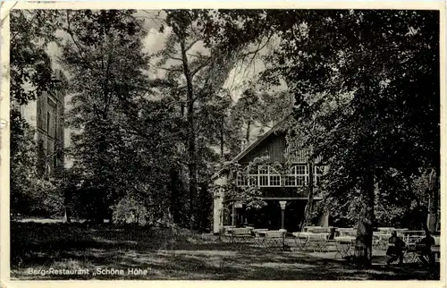 Berg-Restaurant Schöne Höhe, Dittersbach -522328