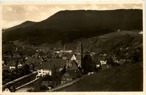 Kurort Alpirsbach im Schwarzwald, Blick vom Waldhotel Burghalde -523482