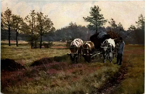 Wagengespann mit Kühen -634848