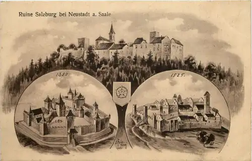 Ruine Salzburg bei Neustadt a Saale - Künstler-AK Eugen Felle -607372