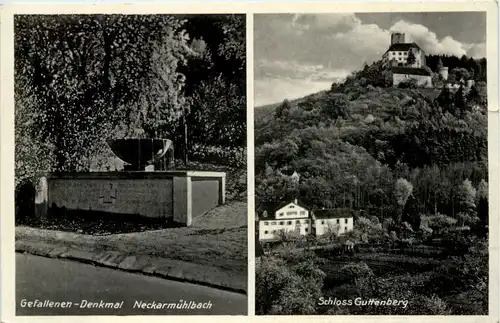 Neckarmühlbach, Gefallenen-Denkmal, Schloss guttenberg -523432