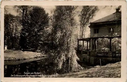 Sagan am Bober - Schlosspark -637114