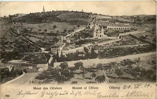 Ölberg - Mont des Oliviers - Jerusalem -636648