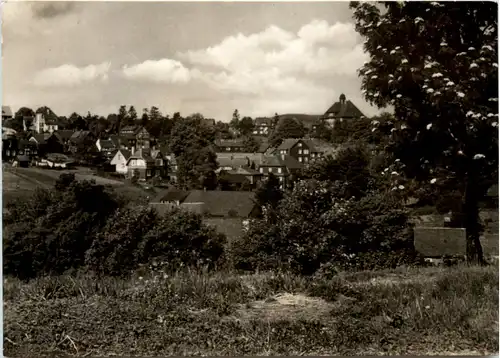 Schmiedefeld am Rennsteig -399016