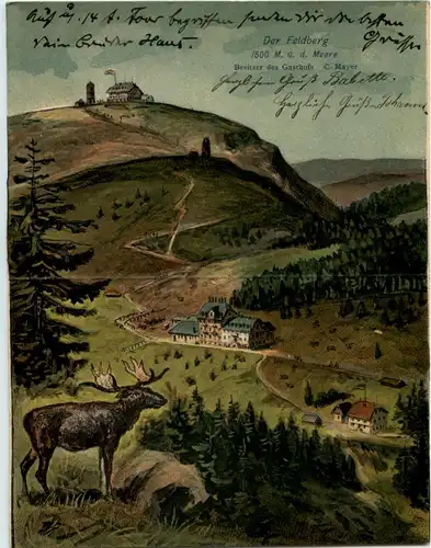 Der Feldberg im Schwarzwald - Klappkarte -636940