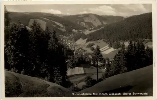 Sommerfrische Mellenbach-Glasbach, oberes Schwarzatal -524468