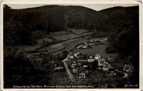 Schwarzburg, Blick vom Schloss nach dem Buschbachtal -524588