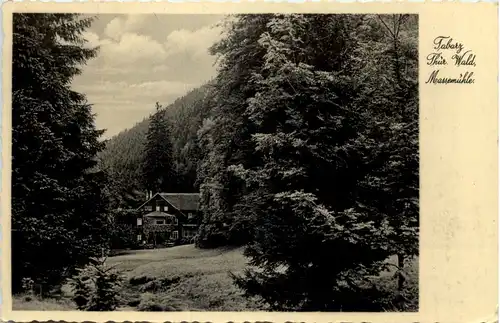 Tabarz - Massemühle -524608