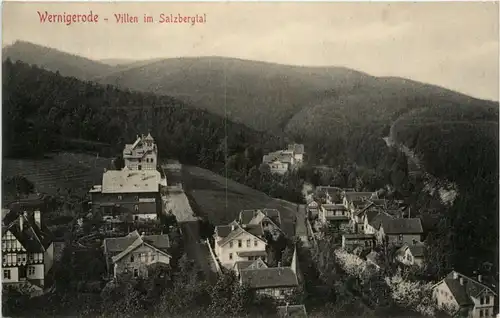 Wernigerode, Villen im Salzbergtal -399276